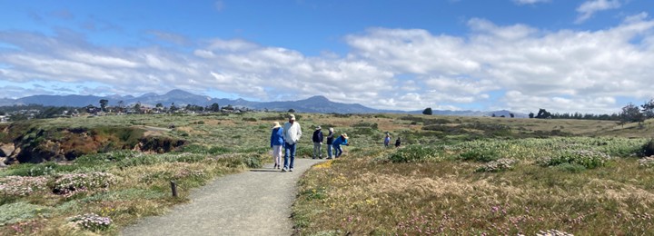 bluff trail with walkers on sunny day