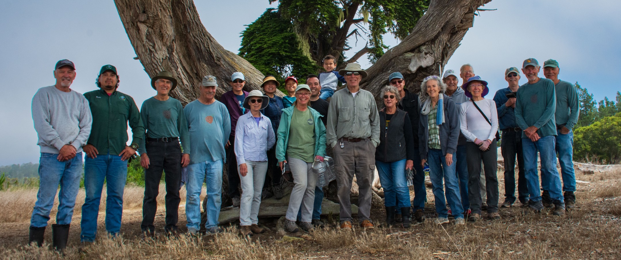 volunteers in front of Monterey cypress