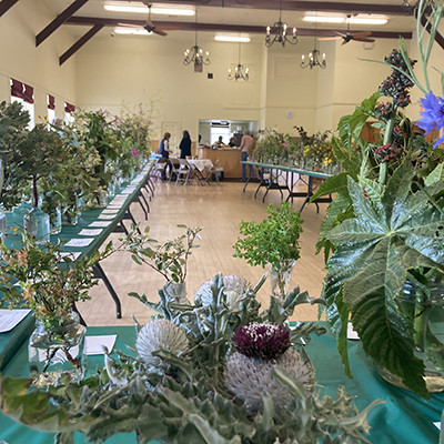 Annual Cambria Wildflower Show